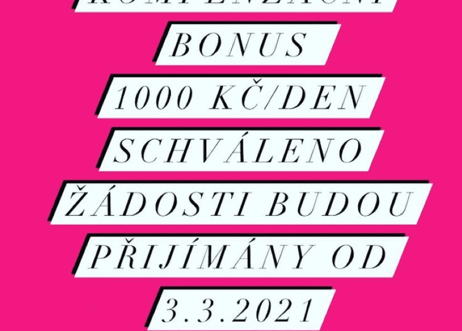Senát ČR dnes schválil nový zákon o kompenzačním bonusu
